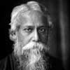 Citas sobre Rabindranath Tagore
